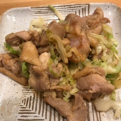 キャベツも加えてみました！お肉に味がしっかりとついていて、とても美味しかったです！リピート決定です！！